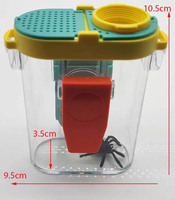 Loupes à LED, loupe Bug Viewer loupe jouet pour enfants
