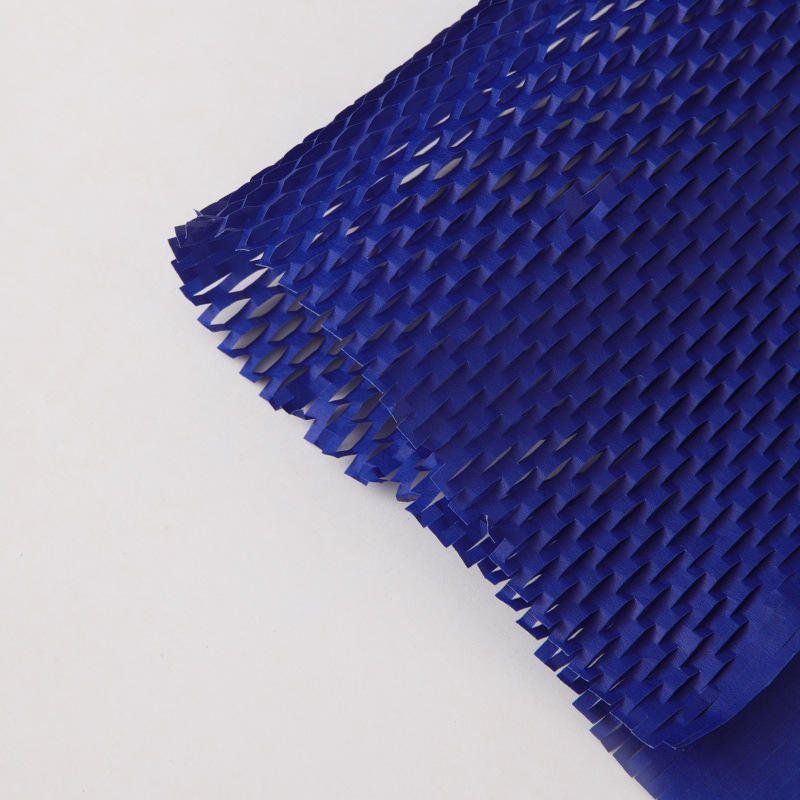 5040cm 10 feuilles bleu klein