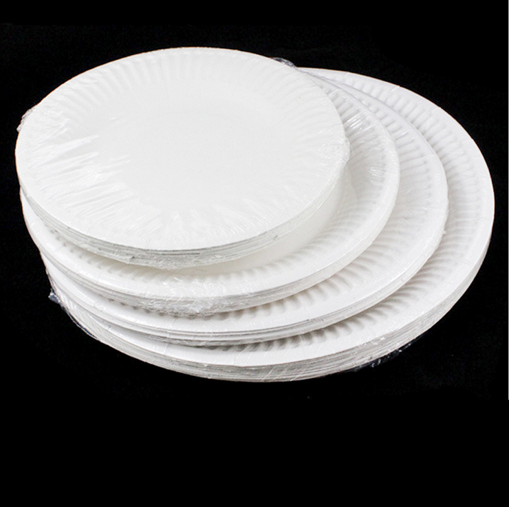 Sample Available Eco-Friendly Customizable Paper Plates for Restaurant Use with Modern Design