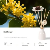 Vente chaude Lavande Sans Flamme Écologique Aromathérapie Ensemble Personnalisable Verre En Céramique Huile Essentielle Diffuseur Boîte Cadeau Parfum