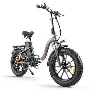 Bicicleta Eléctrica Plegable Vakole Y20 Pro 250W con Llantas Gruesas de 20 Pulgadas, Gran Autonomía, para Desplazamientos Urbanos - Product Image 1