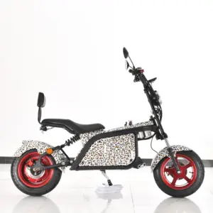 Powerful 3 Wheel Mini Electric Mobility Scooter With 48V 1500W Motor