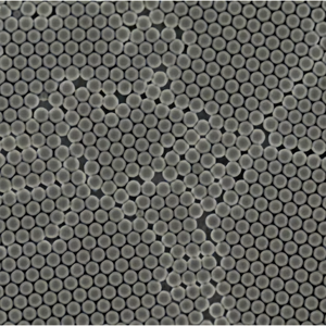 Perlas Magnéticas IMAC con Superficie Funcional de Níquel NTA para Purificación por Afinitad de Proteínas Etiquetadas - Product Image 3