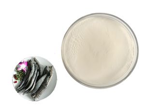 מכירת מפעל באיכות גבוהה אבקת קולגן פפטיד דגים מחזק תזונתי מחזק אנרגיה - Product Image 6