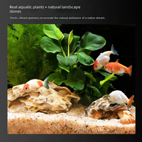 Vente en gros d'usine - Aquarium de bureau JSD en verre ultra-clair de 8 pouces avec kit de filtration à fixation arrière et éclairage à clipser