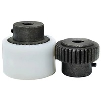 Accouplement de moteur en acier NL29 flexible avec manchon d'engrenage interne pour pompe à huile, structure universelle, couple nominal de 100 Nm