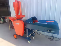 Hacheur d'herbe automatique pour l'alimentation d'ensilage Hachoir à paille Coupeur de paille Machine à nourrir les animaux Ferme pour le bétail