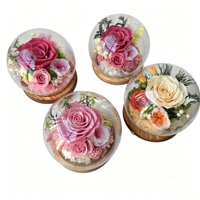 Nouvelles fleurs séchées faites à la main, dôme en verre à LED longue durée, respectueux de l'environnement, pour la Saint-Valentin, Noël