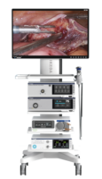 Source de lumière froide LED endoscopique médicale de haute qualité avec écran tactile et réglage de la luminosité pour la chirurgie ORL, la laparoscopie et l'arthroscopie