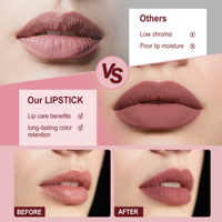 Kit de gloss à lèvres naturel végétalien bio en gros sous marque privée, huile à lèvres hydratante, crayon contour des lèvres, rouge à lèvres mat haute pigmentation
