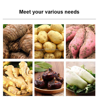 Machine électrique automatique 750W pour le séchage, le lavage et le pelage des taro, konjac, poireaux, gingembre, pommes de terre, légumes et manioc