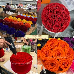 <span class=keywords><strong>Rose</strong></span> naturelle préservée faite à la main en gros d'usine avec tige et tube en verre pour la Fête des Mères, fleur éternelle sous cloche, cadeau pour <span class=keywords><strong>Madame</strong></span> - Product Image 6