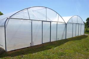 Low Cost Pc Sheet Agriculture <b>Plastic</b> Film Glass Sheet Multi-span Polycarbonate Greenhouse - Product Image 2