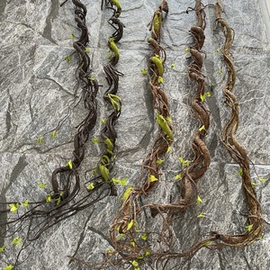 Branches d'arbre artificielles en mousse EVA, tronc épais, brindilles, fausses vignes, lianes, guirlande en rotin pour <span class=keywords><strong>décoration</strong></span> murale de remise de diplôme - Product Image 5