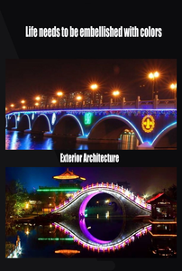 2835 RGB Chasing LED <b>Neon</b> <b>Flex</b> Strip 48 LEDs/m SPI Running Waterproof IP65 Outdoor Custom for Garden Home Decor - Product Image 5