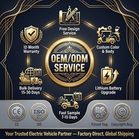 Carrito de Golf Eléctrico de 3-4 Plazas, Motor de CA de 4.0kW, Autonomía de 80-100km, Batería de Litio, Vehículo Turístico Homologado para Calle, OEM