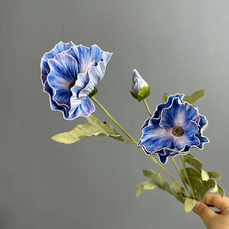 Eva 3-head large poppy-deep blue 18