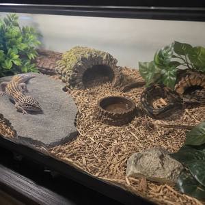 Sustrato 100% Natural de Ciprés para Reptiles Tropicales, Alta Humedad, Resistente al Moho, Ecológico y Fácil de Usar - Product Image 5