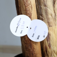 Décoration intérieure Offre Spéciale plante artificielle bananier grande feuille faux bananier en pot extérieur