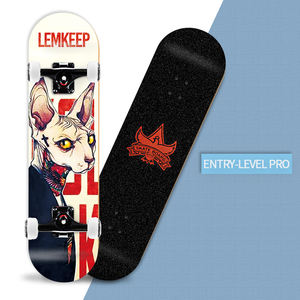 Skateboard OEM complet en bois d'érable, bon marché, vente en gros - Product Image 3