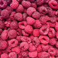Premium IQF Diepvries Frambozen Hele Bessen BRC Gecertificeerd Bulkverpakking 10kg voor de Drank- en Bakkerijindustrie