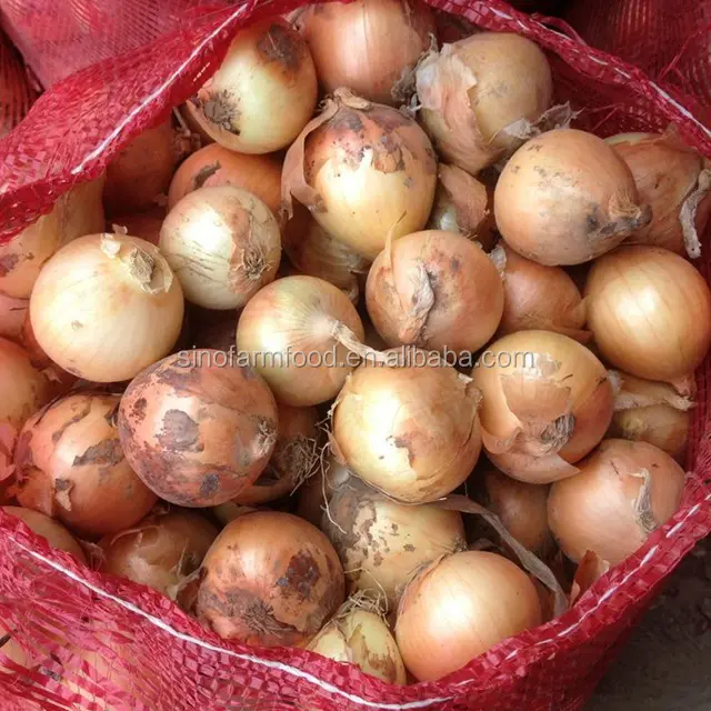 Chinese Onion Wholesale Red Yellow Vegetable Onions with High Quality