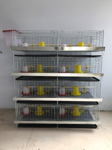 Sistema de riego integrado de altura de capa ajustable apto para jaulas de pollos de engorde de varios niveles para granjas avícolas de mediana escala - Product Image 5