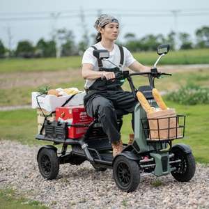 Vancoor, 48V, 500W, batería de litio, 13 pulgadas, neumático, scooter de movilidad hidráulica, scooter de golf eléctrico de 4 ruedas para ancianos, carrito de verduras - Product Image 6