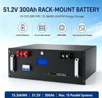 Batería de Litio para Almacenamiento de Energía Solar Comercial, Montaje en Rack de 19 Pulgadas, 51.2V 300Ah 15.36kWh LiFePO4, Protección IP21
