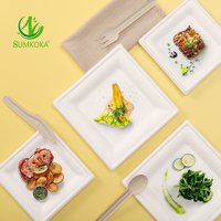 SUMKOKA Plateaux alimentaires à emporter de 6 à 10 pouces Assiettes carrées jetables pour bagasse de canne à sucre Écologique Compostable Biodégradable