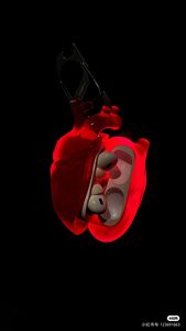 Funda <span class=keywords><strong>Original</strong></span> de Silicona Líquida con Corazón para Apple <span class=keywords><strong>AirPods</strong></span> Pro 1/2/<span class=keywords><strong>3</strong></span>ª Generación Cubierta Protectora Roja - Product Image 5