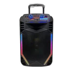 Speaker Portabel plastik 12 inci, pengeras suara kekuatan tinggi dengan troli dan roda dapat diisi ulang Speaker pesta Karaoke