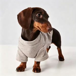 Pijamas, Abrigos y Chaquetas Personalizadas de Poliéster Ecológico, Transpirable y de Lujo para Perros Bichón Frisé y Dachshund - Invierno/Verano - Product Image 1