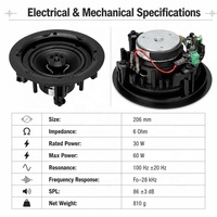Haut-parleur de plafond 5,25 pouces avec amplificateur intégré, grille magnétique blanche, pour approvisionnement OEM en gros