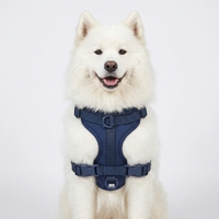 Harnais réglable pour animaux de compagnie, personnalisé, en néoprène souple, système de promenade à clip frontal, anti-traction, pour chiens et chats de petite et grande taille