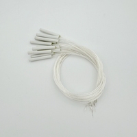 Precio barato Clase A/B Mini RTD Cerámica Pt100 Elementos del sensor con cable de PTFE