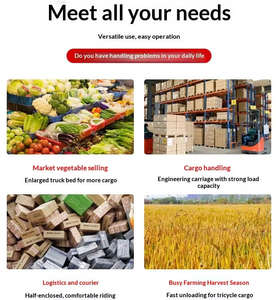 Motocicleta <span class=keywords><strong>Triciclo</strong></span> de Carga Pesada de 5 Plazas con Carrocería Abierta, Motor de Gasolina y Suspensión Exterior - Product Image 6