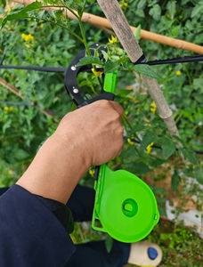 Máquina Atadora de Plantas Eficiente para Cultivos de Tomate, Uva y Vides en Invernadero - Product Image 6