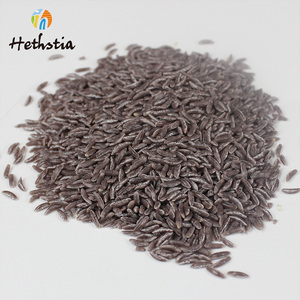 Riz de Konjac Keto à faible teneur en matières grasses, sans glucides, faible en calories, riz noir séché Shirataki pour régime Keto - Product Image 2