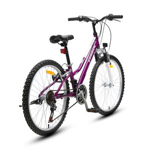 Vélo de mode à gros pneus bon marché pour adulte pour homme vélo à suspension complète pour homme vélo pour adulte de 29 pouces vtt cadre vélo de descente - Product Image 3