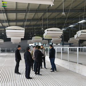 Proyecto Llave en Mano para Granja Lechera de 2000 Cabezas, Salas de Ordeño Automáticas en Espiga, Equipo para Establos <span class=keywords><strong>Holstein</strong></span>, Granja Excelente - Product Image 3