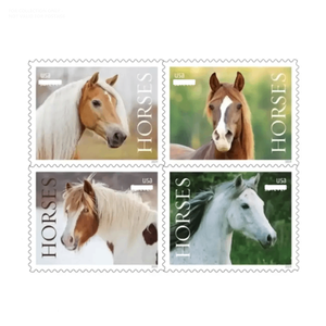 Limited Edition <strong>Post</strong> Stamps <strong>Labels</strong> Anti Counterfeiting Postal Mail Stamp Sticker Postage Mailing Stamps <strong>Labels</strong> for COLLECTION - Product Image 5