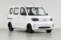 Wuling Sunshine EV 2025 Standard Mini-fourgonnette électrique LHD Véhicule à énergie nouvelle Prêt à être expédié