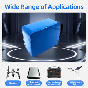 골프 카트 용 맞춤형 전문가 6s5p 24v 13ah 리튬 이온 배터리 팩 - Product Image 1