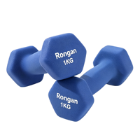 Vente en gros d'haltères de différentes spécifications et couleurs, haltères hexagonales antidérapantes pour la musculation, poids pour la salle de sport à domicile