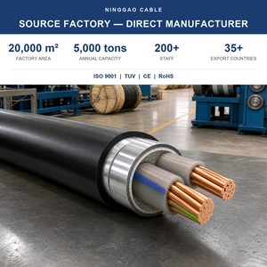 <span class=keywords><strong>Cable</strong></span> de Alimentación Subterráneo de <span class=keywords><strong>Aluminio</strong></span> YJLV22 de 95 mm² y 2 Núcleos para Redes de Servicios Públicos e Infraestructura - Product Image 5
