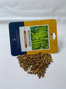 Botani Yasa : Graines de haricots verts à rendement élevé, fournisseur de graines de haricots doux et tendres - Product Image 5