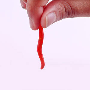 SEASKY 4cm 0.2g <span class=keywords><strong>De</strong></span> Pêche Leurre Souple Trout Worm Earthworm Bait Lifelike Faux Bloodworm Grub Ver Doux Leurre <span class=keywords><strong>De</strong></span> Pêche Appâts - Product Image 5