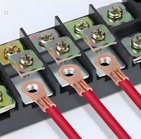 Bornes de câble de batterie en cuivre à œil ouvert, série OT, bornes de fil pour 5A 10A 20A 30A 40A 50A 60A 80A 100A 150A 200A