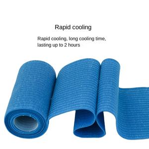 ضمادة ثلجية ذاتية اللصق مخصصة للتبريد والضغط البارد للعلاج الطبيعي، ضمادة رياضية مرنة للالتواء، معتمدة من CE - Product Image 3